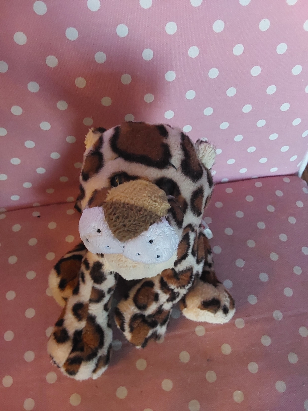 Webkinz 5 For $30